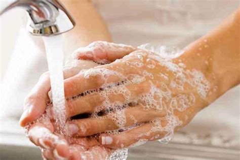 Cuci tangan diketahui dapat mengurangi angka ketidakhadiran anak di sekolah akibat sakit. 5 Langkah Sederhana Ini Bisa Cegah Penyebaran Virus ...
