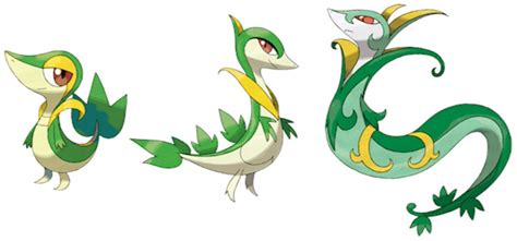 All The Evolutions Of Snivy Telegraph