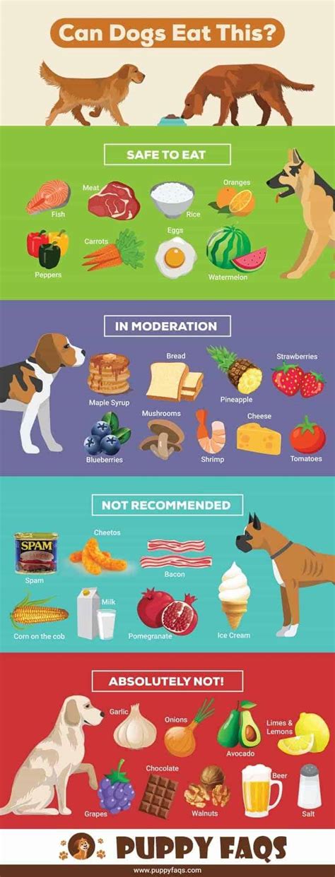 Not eaten to excess, fruits such as durian can contribute ample nutrition to your dog's diet. Can Dogs Eat This? What You Need to Know! | PUPPYFAQS