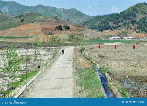 North Korea Countryside Landscape Editorial Photo Image Of Cyclist