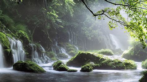 9 Nature Hd Wallpapers For Desktop 1080p Resolution