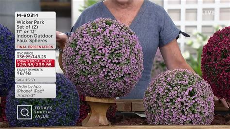 See more ideas about faux flowers, flowers, leaf structure. Jane Treacy QVC - No Green Thumb Needed! Add color where...