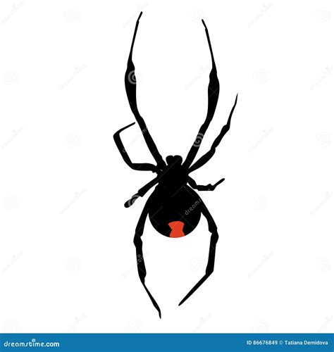 Icon Silhouette Of A Poisonous Black Widow Spider Template Cartoon
