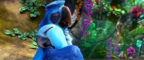 Image Rio 2 Official Trailer 3 15 Rio Wiki Fandom Powered By