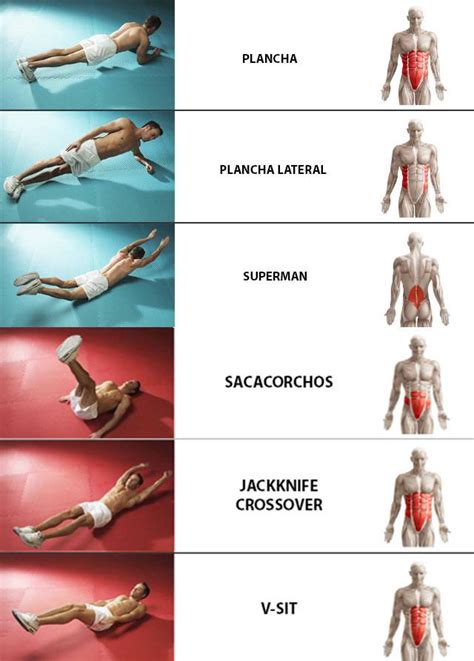 Guía de ejercicios con abdominales bulevip