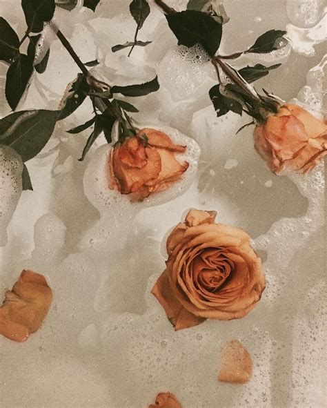 Mia Colona On Instagram 🌹 Orange Aesthetic Aesthetic Photography