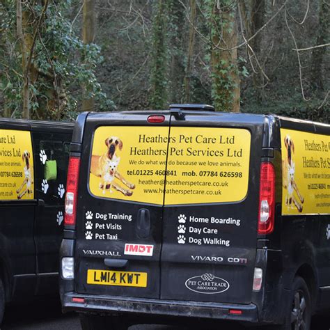 Pet Taxi Professional Pet Taxi Service Fleet Of Fully Kitted Out Vehicles