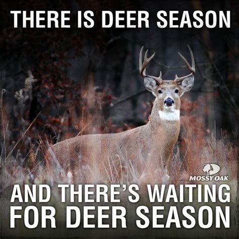 Deer Season Funny Quotes Monday Quotesgram