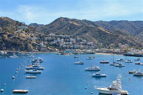 6 adventurous things to do in catalina island around the world with justinaround the world