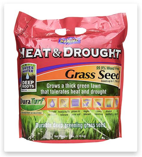 Best Drought Tolerant Grass 2023 12 Drought Tolerant Grass Seed Mix