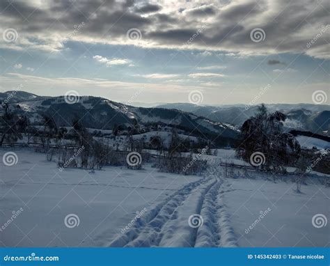 Beautiful Winter Landscapes With Mountains And Snow Laden Trees In The