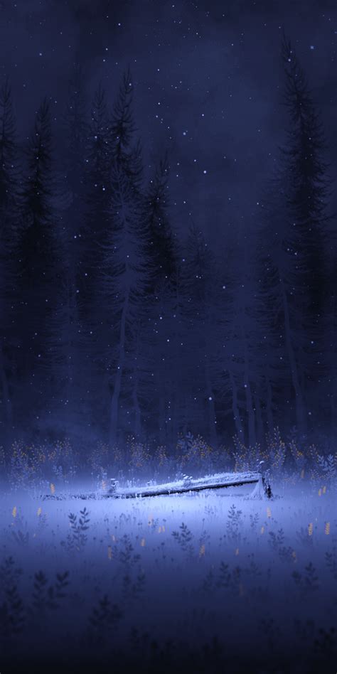 Download Wallpaper 1080x2160 Snowfall Of Winter Night Meadow Art