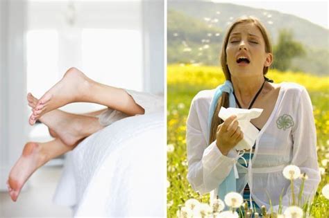 Hay Fever Cure Sufferers Should Have Sex To Reduce Symptoms Daily Star