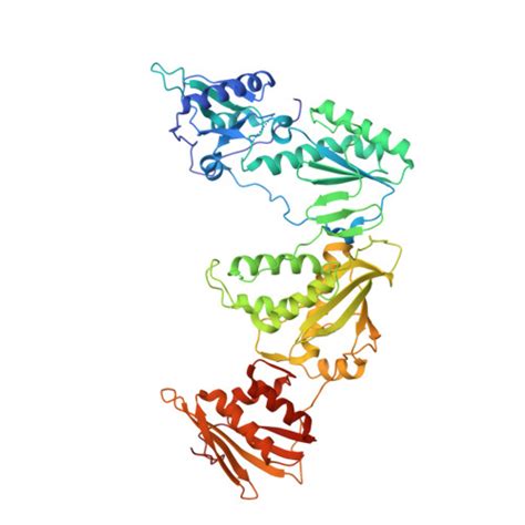 Rcsb Pdb 8stp Crystal Structure Of Hiv 1 Reverse Transcriptase