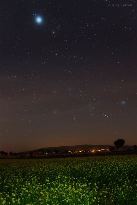 The Brightest Stars In The Sky A Starry Countdown Space