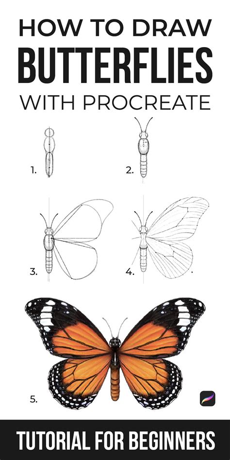 How To Draw A Butterfly Easy Step By Step Drawing Tutorial Images