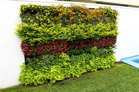 Jardín Vertical En Tu Casa Te Decimos Como Tener Uno Sin Gastar Mucho