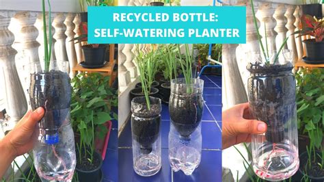 Self Watering Planter From Recycled Bottle Diy Self Watering Pots
