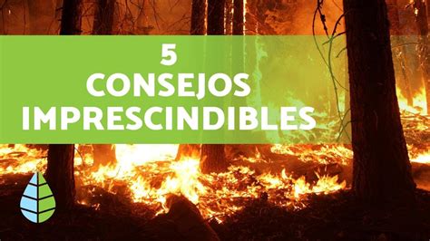 Prevención De Incendios Forestales 🔥 ¡muy Importante Youtube