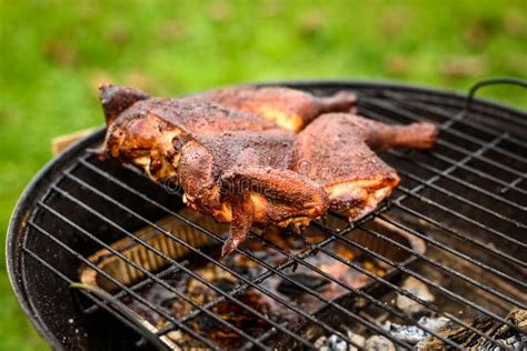 traditional spatchcocked barbecue chicken al mattone on charcoal grill stock image image of
