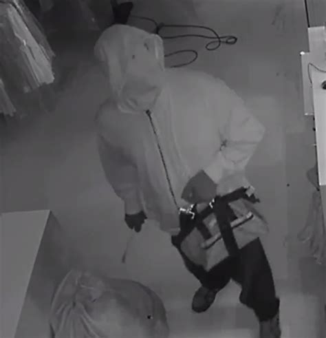 Police Are Investigating A Series Of Commercial Burglaries Release
