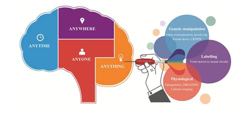 Viral Vectors As A Novel Tool For Clinical And Neuropsychiatric