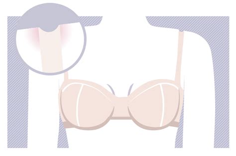 bra fitting guide and how to fix bra problems how to buy a good bra