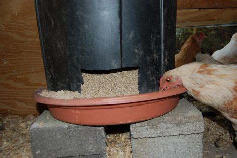 Il est facile à réaliser en suivant ce plan de construction. Mrsmatheaus Poulaillers: Mangeoire Poule Anti Nuisible Maison