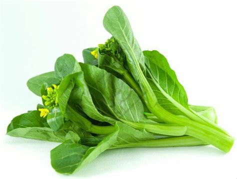 Benih sayuran hidroponik terbaik merupakan salah satu kunci keberhasilan dalam budidaya hidroponik. Jual Biji 70 Benih Sayur Sawi Bunga Choy Sum PARMA Unggul ...