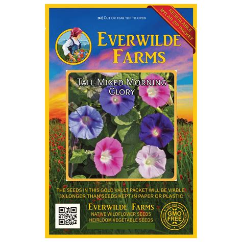 Everwilde Farms 50 Tall Mixed Morning Glory Garden Flower Seeds