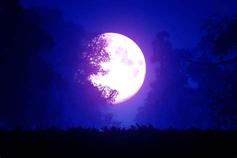 Libra Full Moon Lunar Eclipse Clairvoyant Lesa Terry