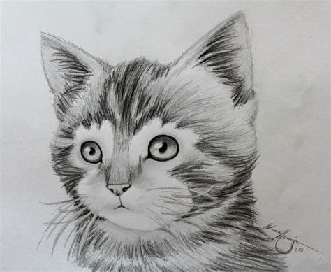 These ideas will help you build confidence in your drawing while creating recognizable artwork. FREE 10+ Animal Drawings in AI