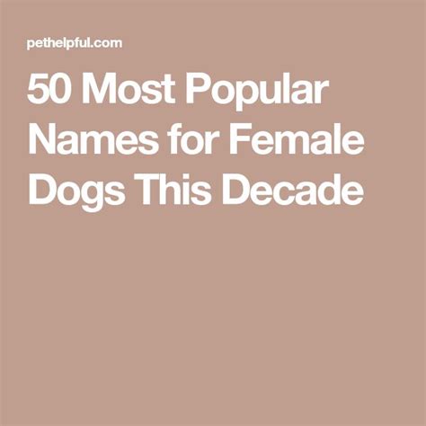 The Words 50 Most Popular Names For Female Dogs This Decade Are In