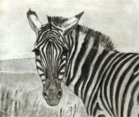 Learn How To Draw Portraits Of African Animals In Charcoal For The Beg
