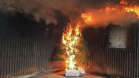 Watch How Fast Your Christmas Tree Can Go Up In Flames Video