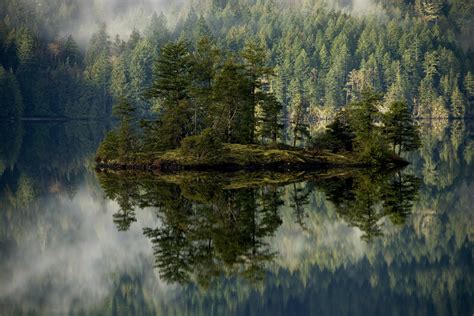 Lake Forest Wallpaper 🍓lake Matheson Water Landscape