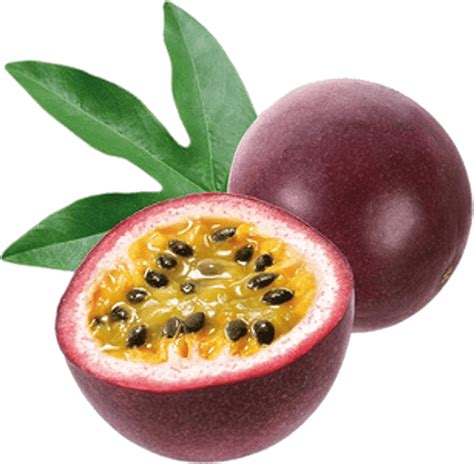 Gulupa Passiflora Edulis Var Edulis Selvafruit De Colombia
