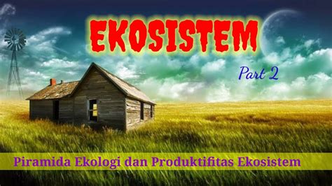 EKOSISTEM Part 2 Piramida Ekologi Dan Produktifitas Ekosistem YouTube