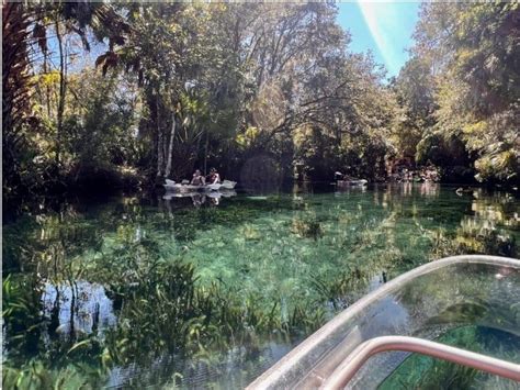 Awesome Things To Do In Silver Springs Florida