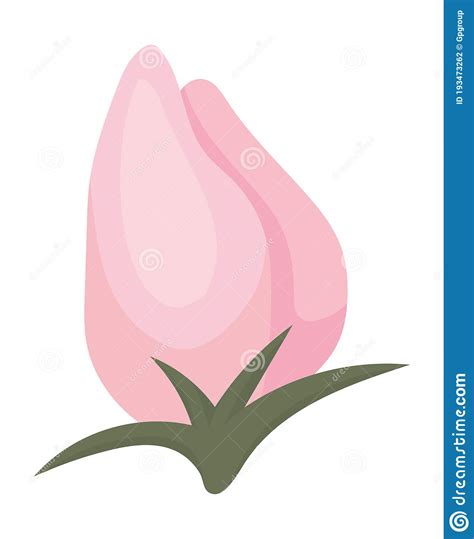Pink Rose Bud Flower Growing Painting Vector Design Stock Vector