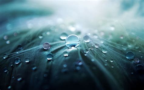Water Drops Hd Wallpapers Page 12880 Movie Hd Wallpapers