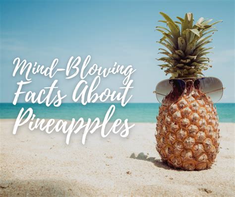 Mind Blowing Facts About Pineapples Gn Health