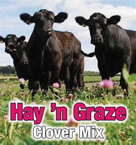 Hay ‘n Graze Clover Mix 70 Red Clover 30 Haygrazer Alfalfa Nixa