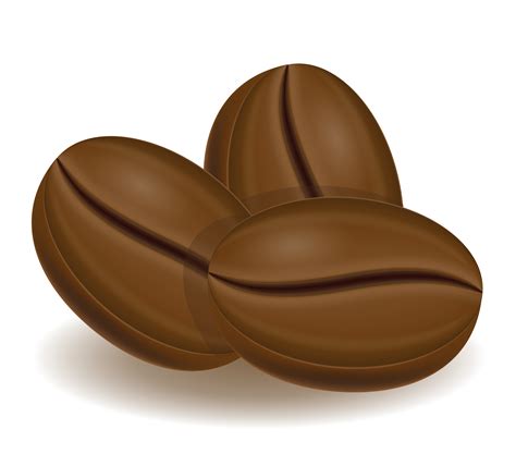 coffee beans vector illustration 489808 Vector Art at Vecteezy