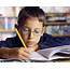 Child Doing Homework  Stock Image H460/0329 Science Photo Library