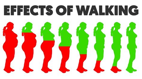 Losing Weight By Walking An Hour A Day Bmi Formula