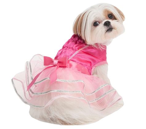 Top 20 Best Cute Dog Costumes For Halloween