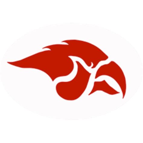 Red Hawk Logo Basketball