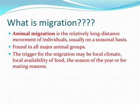 Animal Migration Presentation