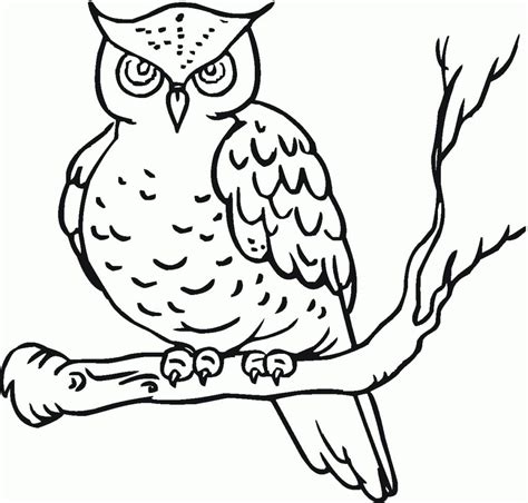 Owl Free Printable Coloring Page Download Print Or Color Online For Free